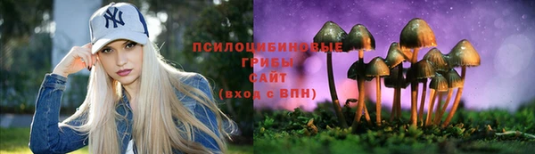 ALPHA PVP Вяземский