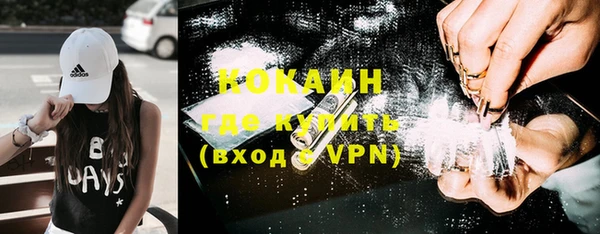стаф Вязники