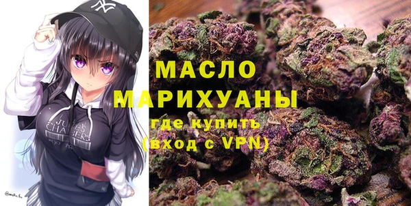 индика Горняк