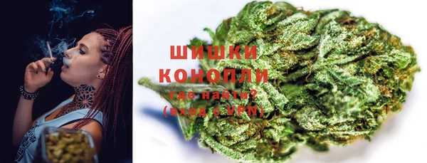стаф Вязники