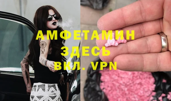 стаф Вязники